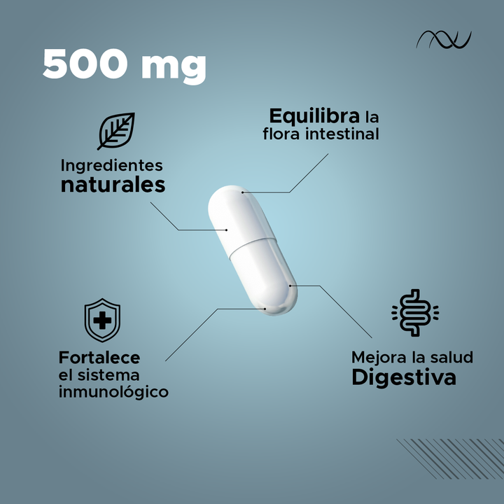 Actibiota