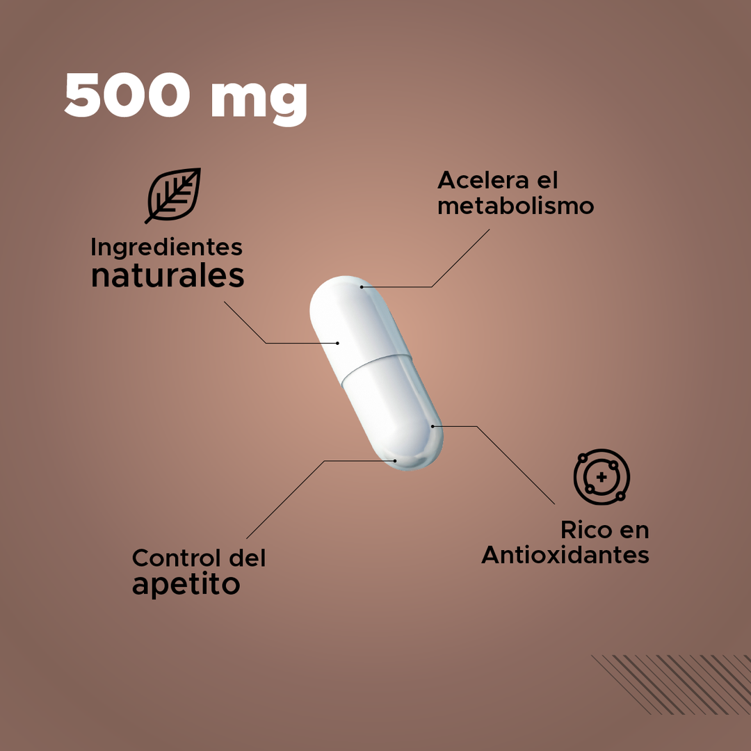 Appetia